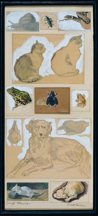 Josef Wawra, Tierstudien (12 Skizzen), um 1920, Aquarell, Bleistift auf Papier, 51 x 23,5 cm, B ...