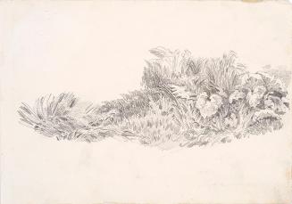 Theodor Alphons, Rasenstück, um 1880/1890, Bleistift auf Papier, 12,5 × 18 cm, Belvedere, Wien, ...