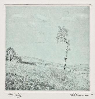 Lilly Steiner, Im März, um 1910, Radierung, 13,7 x 13,7 cm, Belvedere, Wien, Inv.-Nr. 10468