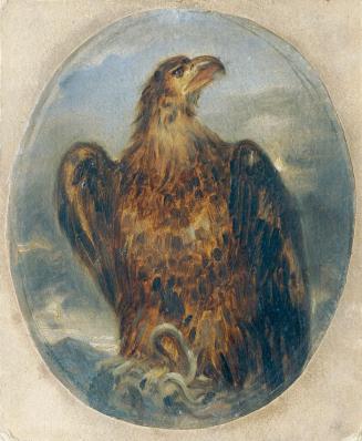Joseph Hasslwander, Adler, Öl auf Papier auf Karton, hochoval: 25,6 × 20,8 cm, Belvedere, Wien, ...