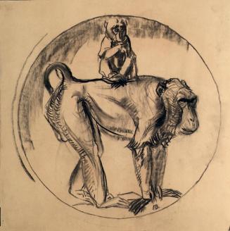 Franz Barwig d. Ä., Affe und Junges, 1928/1929, Kohle auf Papier, 49 x 48 cm, Belvedere, Wien,  ...
