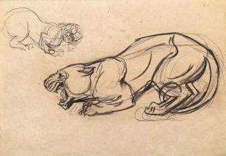 Franz Barwig d. Ä., Skizzen zum "Fauchenden Löwen", 1926/1927, Kohle auf Papier, 31 x 45 cm, Be ...