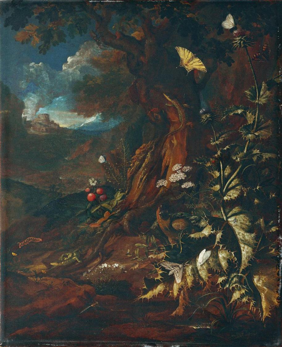 Johann Adalbert Angermayer, Landschaft mit Reptilien und Insekten (I), um 1730/1740, Öl auf Lei ...