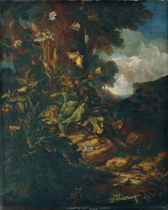 Johann Adalbert Angermayer, Landschaft mit Reptilien und Insekten (II), um 1730/1740, Öl auf Le ...