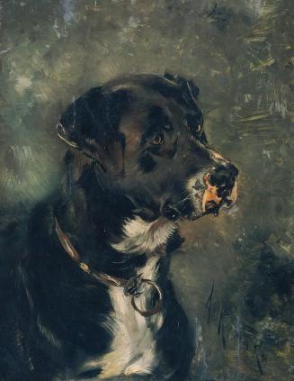 Anton Romako, Kopf eines Fleischerhundes, um 1880/1882, Öl auf Holz, 66 x 52 cm, Wien, Belveder ...