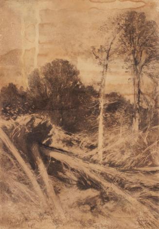 August Schaeffer von Wienwald, Baumstudie, 1911, Kohle auf Papier auf Leinwand, 119 × 83 cm, Be ...