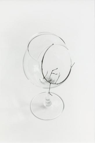 Gerald Domenig, Ohne Titel (Glas mit Zweig), 2011, Schwarzweißfoto auf Barytpapier, 56 × 46 cm, ...