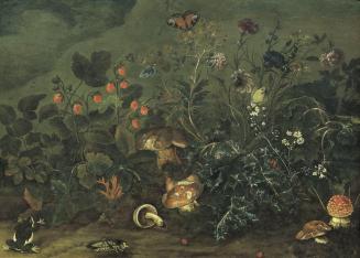 Franz Michael Siegmund von Purgau d. Ä., Rasenstück mit Erdbeeren und Grille, 1737, Öl auf Kupf ...