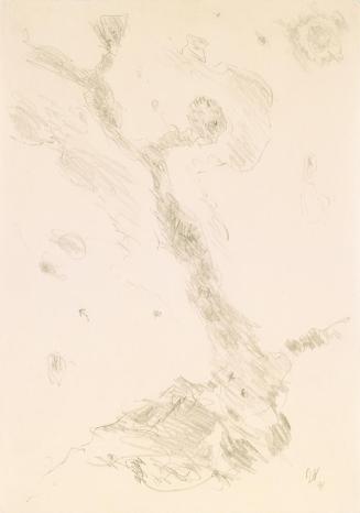 Max Weiler, Knorriger Baum, 1969, Bleistift auf Papier, 29,3 × 20,6 cm, Belvedere, Wien, Inv.-N ...