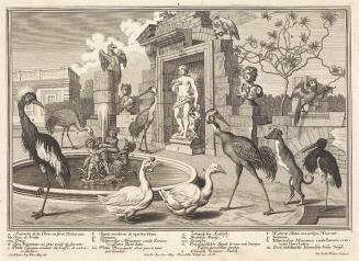 Salomon Kleiner, Kraniche und Enten, 1734, Radierung, Druck in Schwarz auf Papier, Dauerleihgab ...