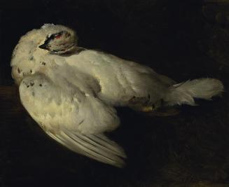 Johann Matthias Ranftl, Totes Schneehuhn, Öl auf Karton, 26 x 31 cm, Belvedere, Wien, Inv.-Nr.  ...