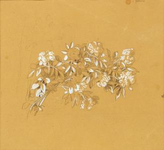 Johann Peter Krafft, Blumenbouquet, Bleistift, weiß gehöht, auf Papier, 19,5 × 21,5 cm, Belvede ...