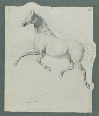 Johann Peter Krafft, Pferdestudie zu "Rüdiger und Angelika", um 1842, Bleistift auf Papier, 23  ...