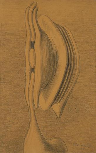 František Hudeček, Kopf, 1936, Kreide auf Papier, 43 × 27 cm, Dauerleihgabe Sammlung Rotter, Be ...