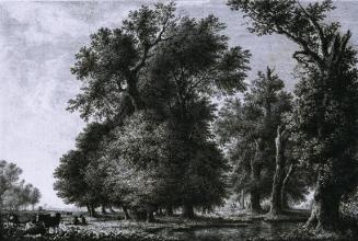 Lorenz Adolf Schönberger, Landschaft mit Eichen, Radierung, Plattenmaße: 23,5 × 34,2 cm, Blattm ...