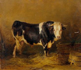 Edmund Mahlknecht, Stier im Stall, Öl auf Karton, 29 x 34 cm, Belvedere, Wien, Inv.-Nr. 3636