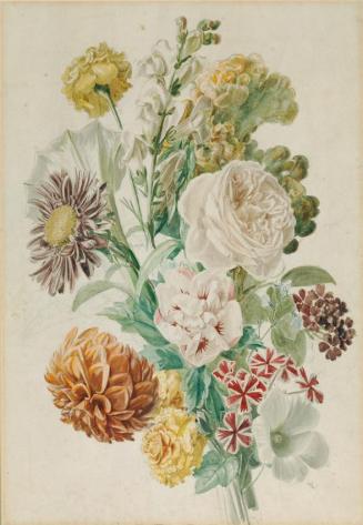Leopold von Stoll, Blumenstrauß mit Rose und Dahlie, um 1800/1820, Aquarell auf Papier, 49,5 x  ...