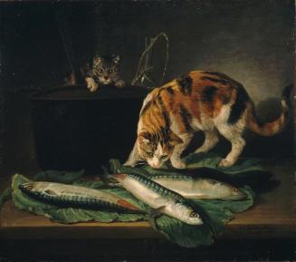 Martin Ferdinand Quadal, Katzen und Fische, 1781, Öl auf Leinwand, 68 x 77 cm, Belvedere, Wien, ...