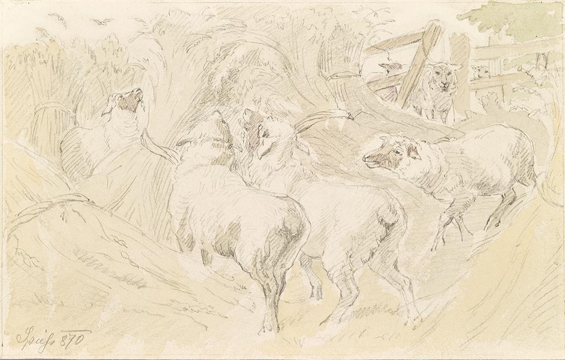 August Spiess, Schafe im Getreide, 1870, Bleistift, Aquarell auf Papier, 15,2 × 24 cm, Belveder ...