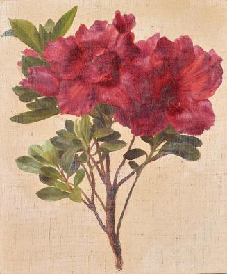 Anton Hartinger, Rhododendron, um 1880, Öl auf Leinwand, 21 × 17,8 cm, Belvedere, Wien, Inv.-Nr ...